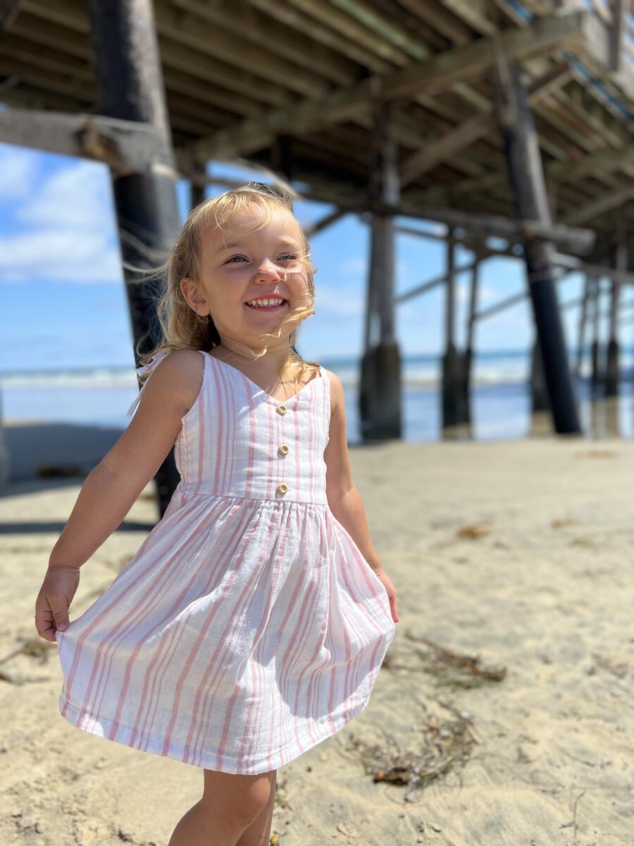 Vignette Penny Dress - Pink Stripe