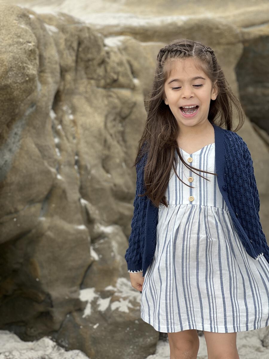 Vignette Penny Dress - Navy Stripe