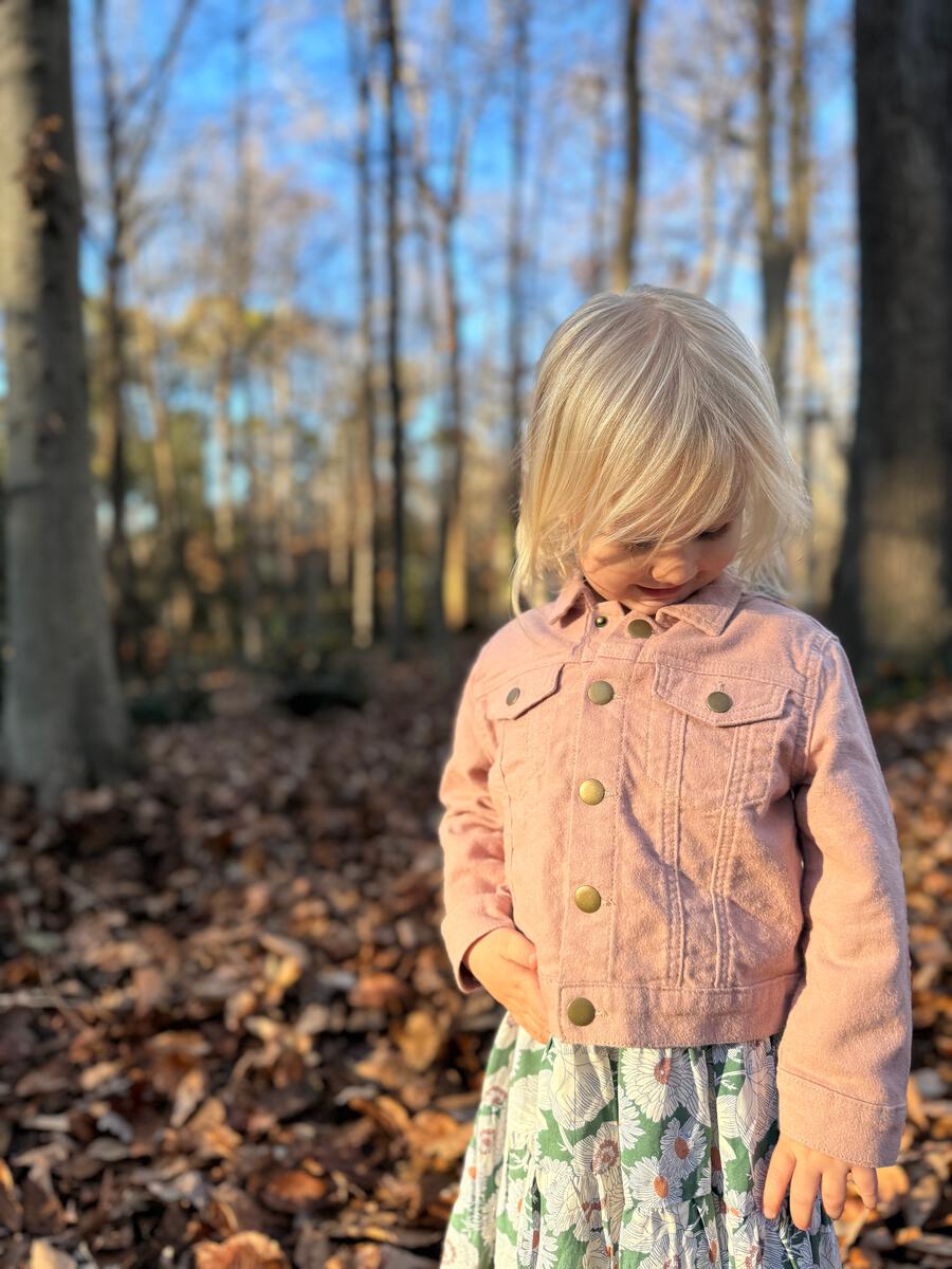 Vignette Wyatt Jean Jacket - Pink Sunset