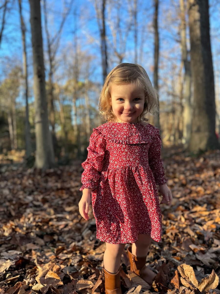 Vignette Sylvie Dress - Cranberry Floral