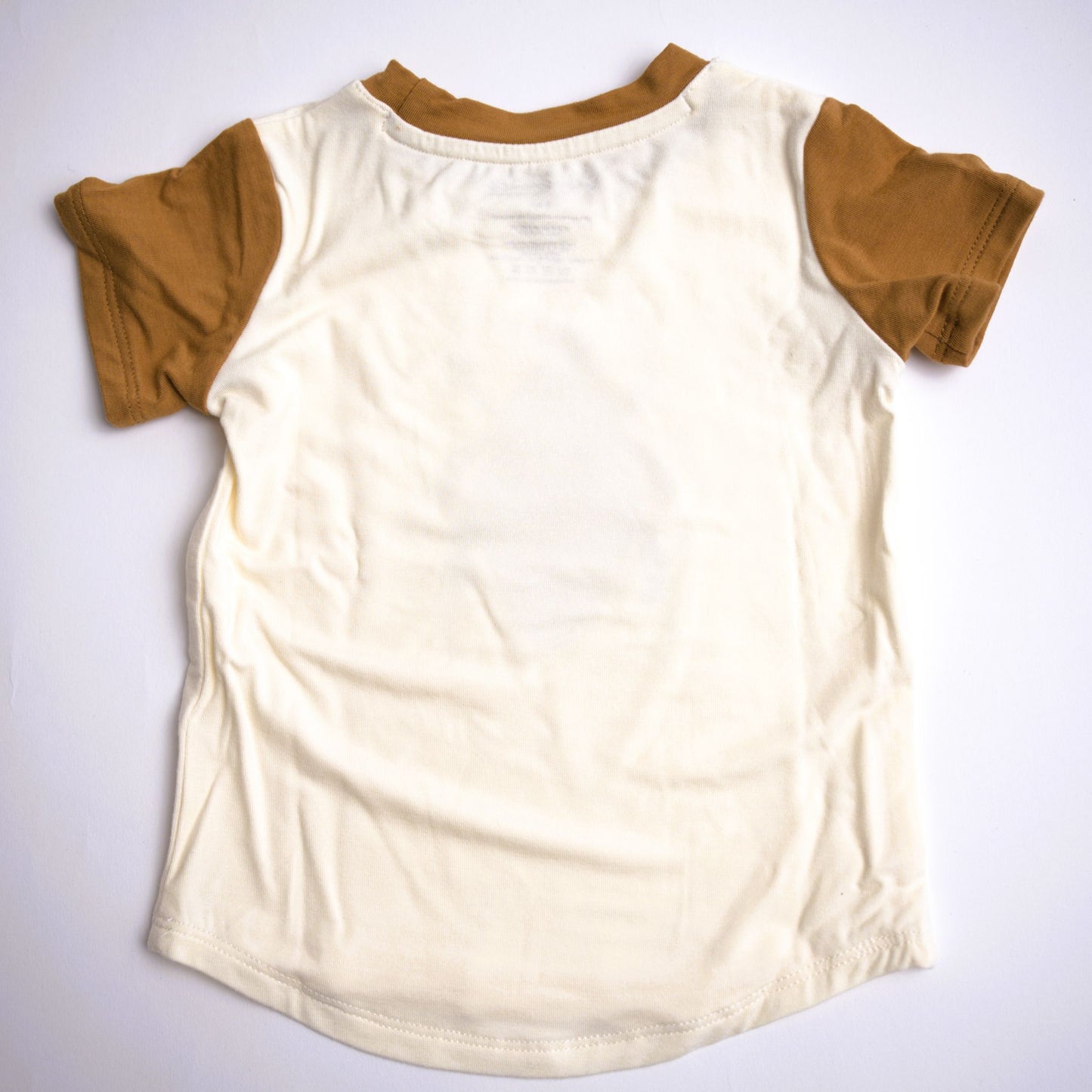 Babysprouts Boy's Colorblock Tee – Bug