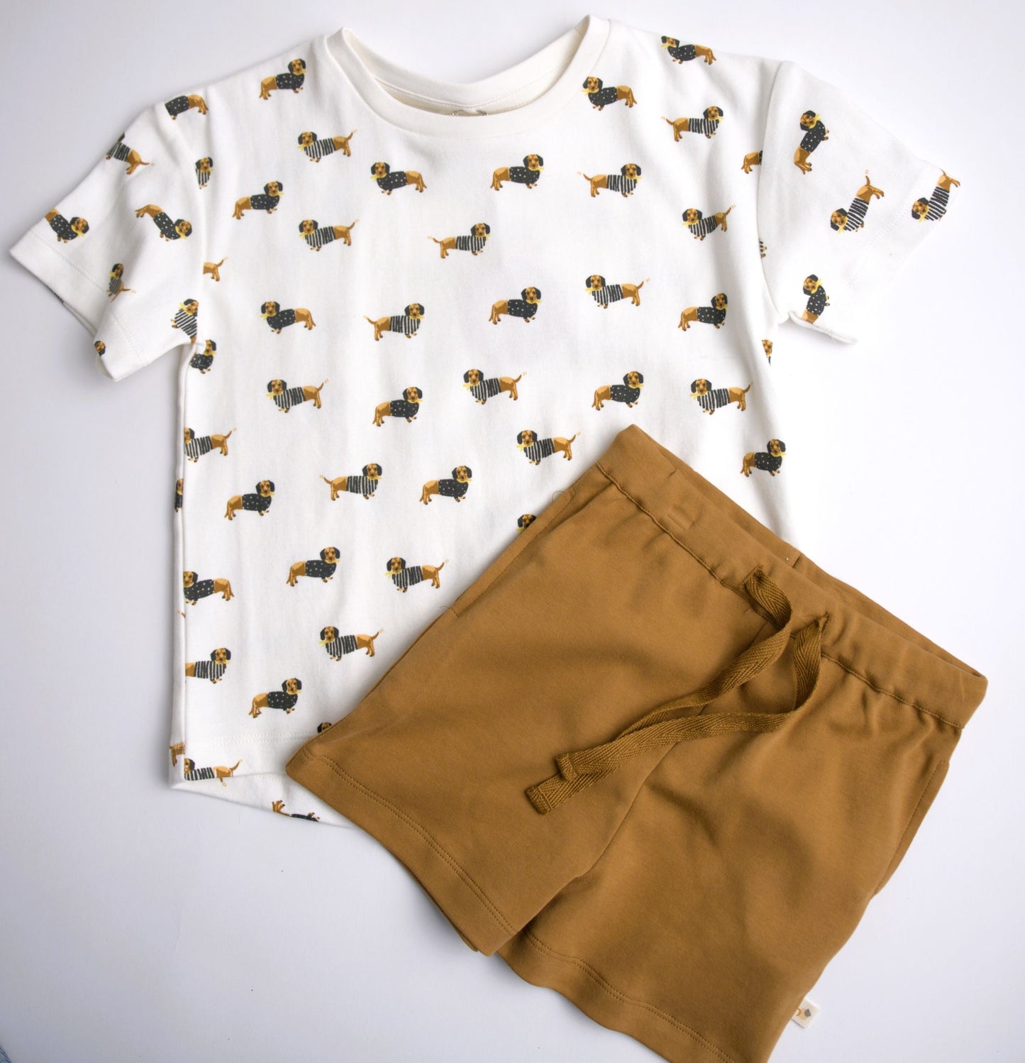 brown dachshund weiner dog shirt and shorts for little boys and girls