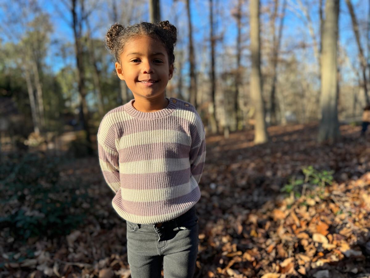 Vignette Saylor Sweater - Lavender Stripe