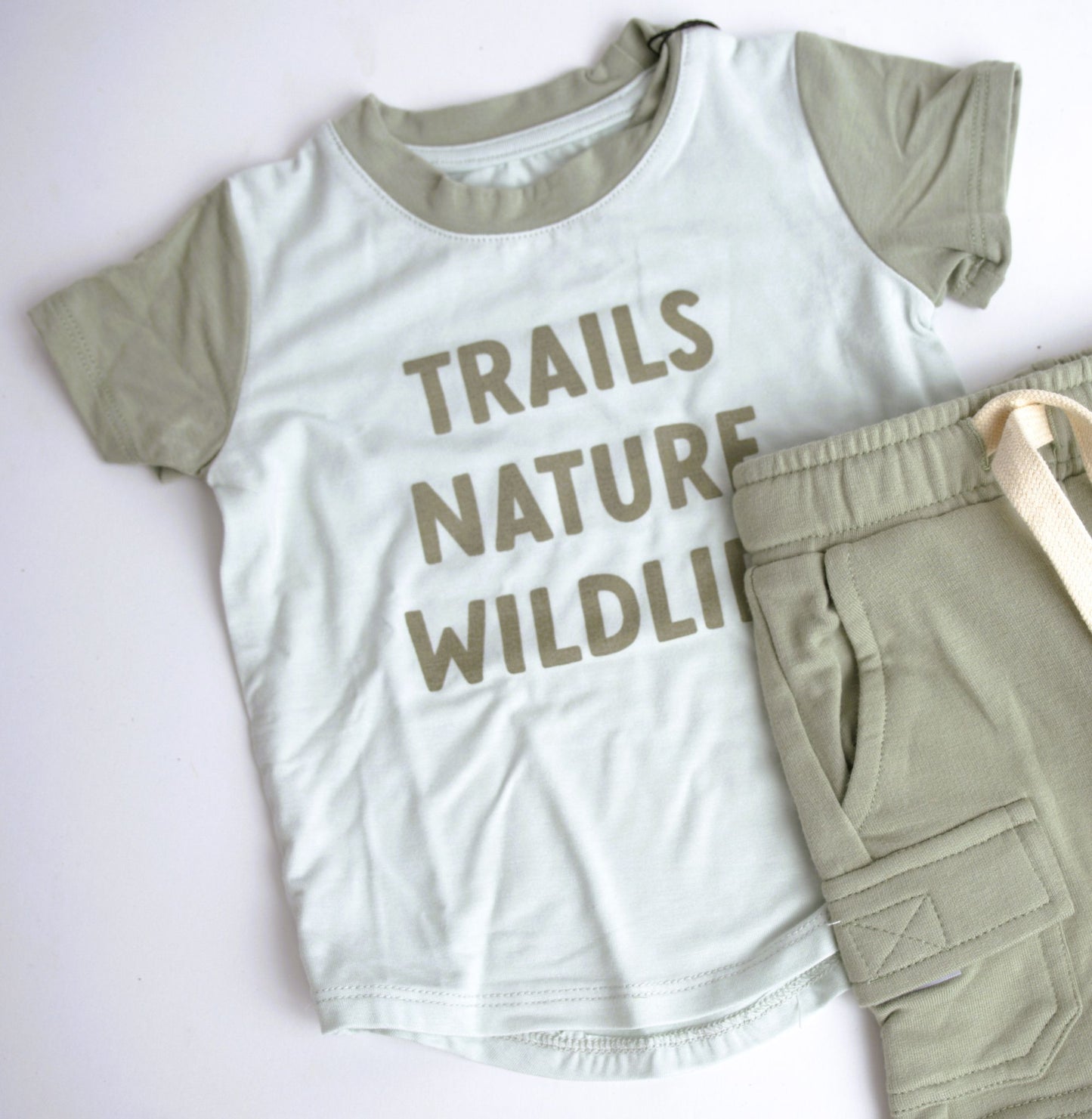 Babysprouts Boy's Colorblock Tee - Trails Nature Wildlife