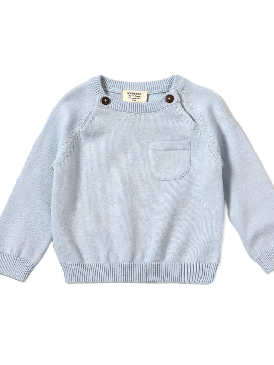 Viverano Organics Milan Raglan Sweater Knit Baby Pullover (Organic Cotton) - Sky Blue