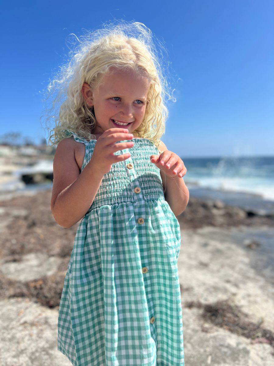 Vignette Jill Dress – Green Plaid