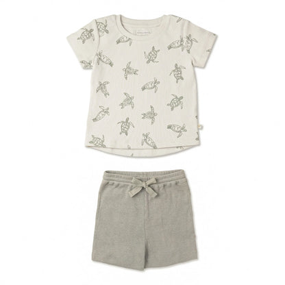 Makemake, turtles, sage, green, tshirt and shorts set, organic cotton
