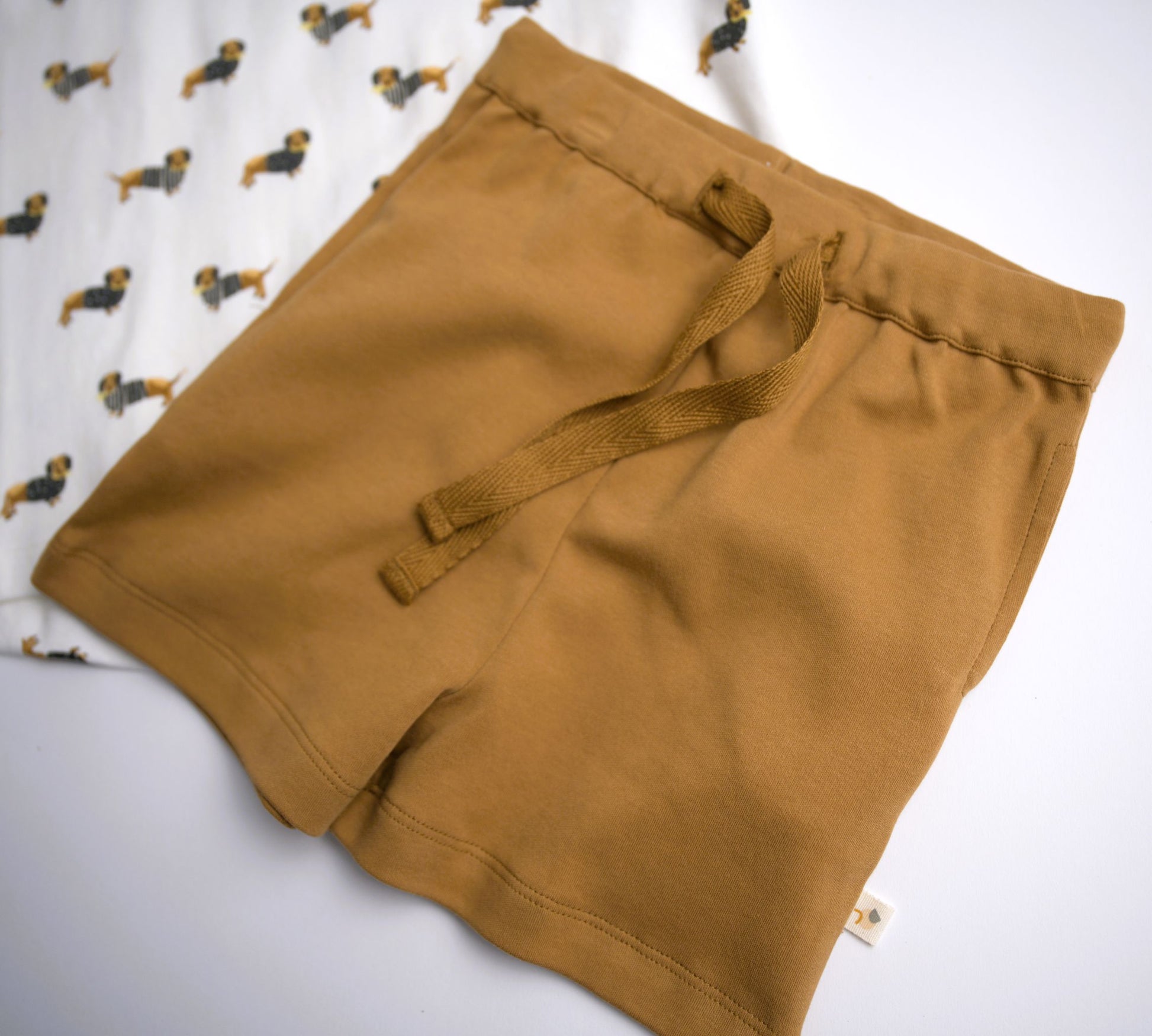 brown dachshund weiner dog shirt and shorts for little boys and girls