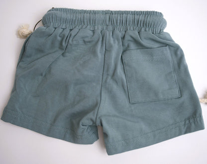 Babysprouts Clothing Company Boy's Everyday Shorts - Storm